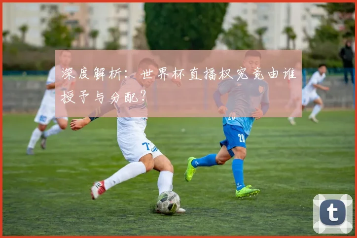 深度解析：世界杯直播权究竟由谁授予与分配？