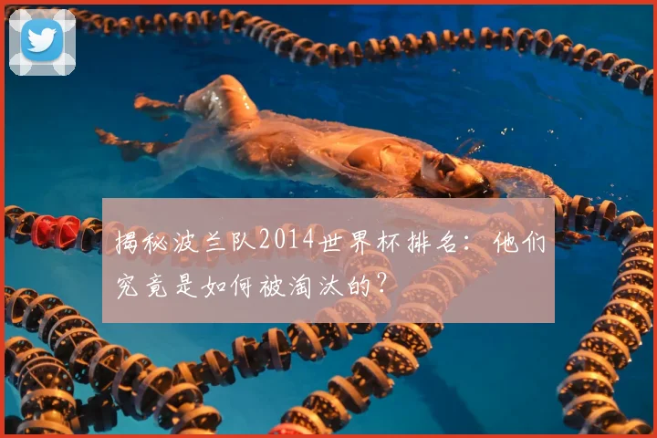 揭秘波兰队2014世界杯排名：他们究竟是如何被淘汰的？