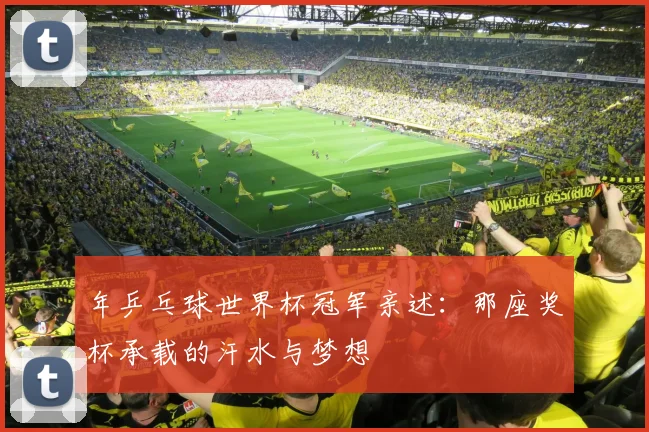 年乒乓球世界杯冠军亲述：那座奖杯承载的汗水与梦想