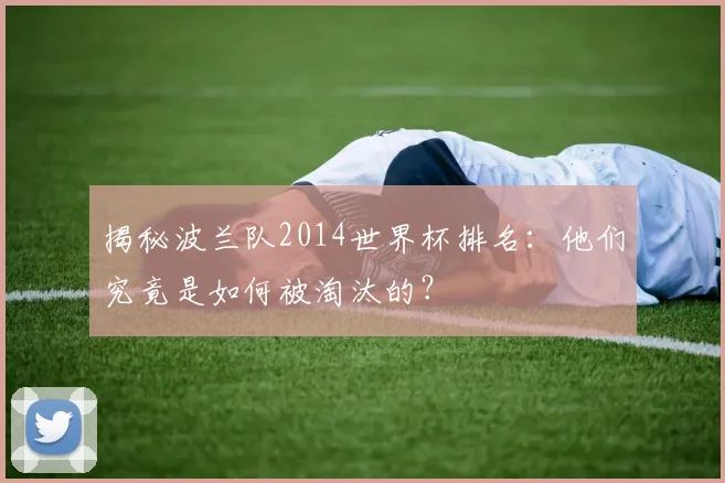 揭秘波兰队2014世界杯排名：他们究竟是如何被淘汰的？