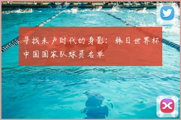 寻找米卢时代的身影：韩日世界杯中国国家队球员名单