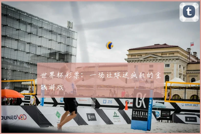 世界杯彩票：一场让球迷疯狂的金钱游戏