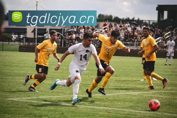 平台使命图
